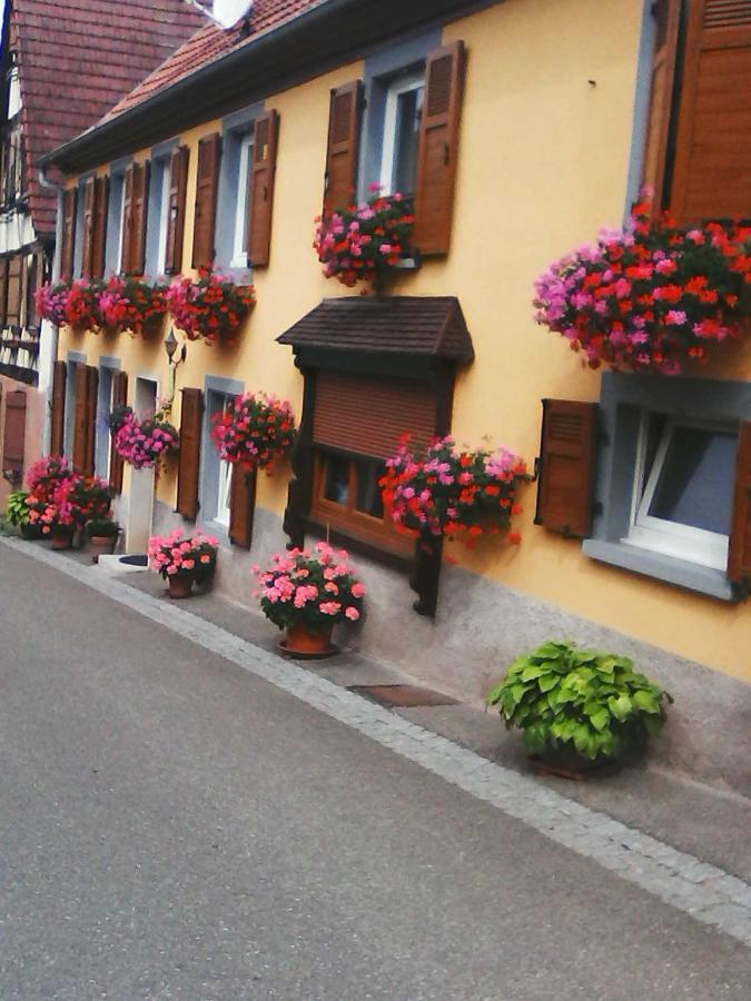 Ferienwohnung Relais De La Diligence Romanswiller Exterior foto